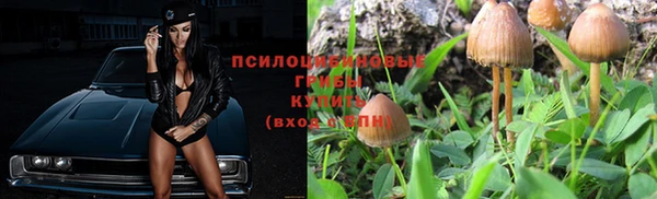 гидра Каменск-Шахтинский