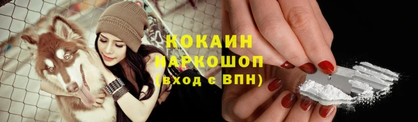 гидра Каменск-Шахтинский