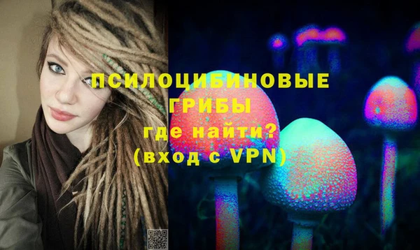 кокаин премиум Каменка