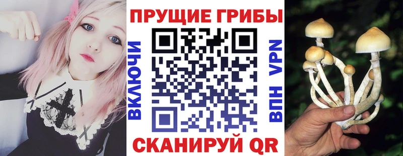 Купить где  Нязепетровск  Галлюциногенные грибы GOLDEN TEACHER 